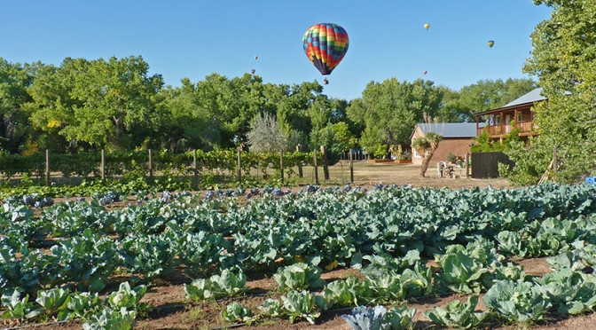 How To Become A Master Gardener Sandoval County Master Gardeners