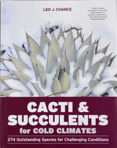 Cacti 01