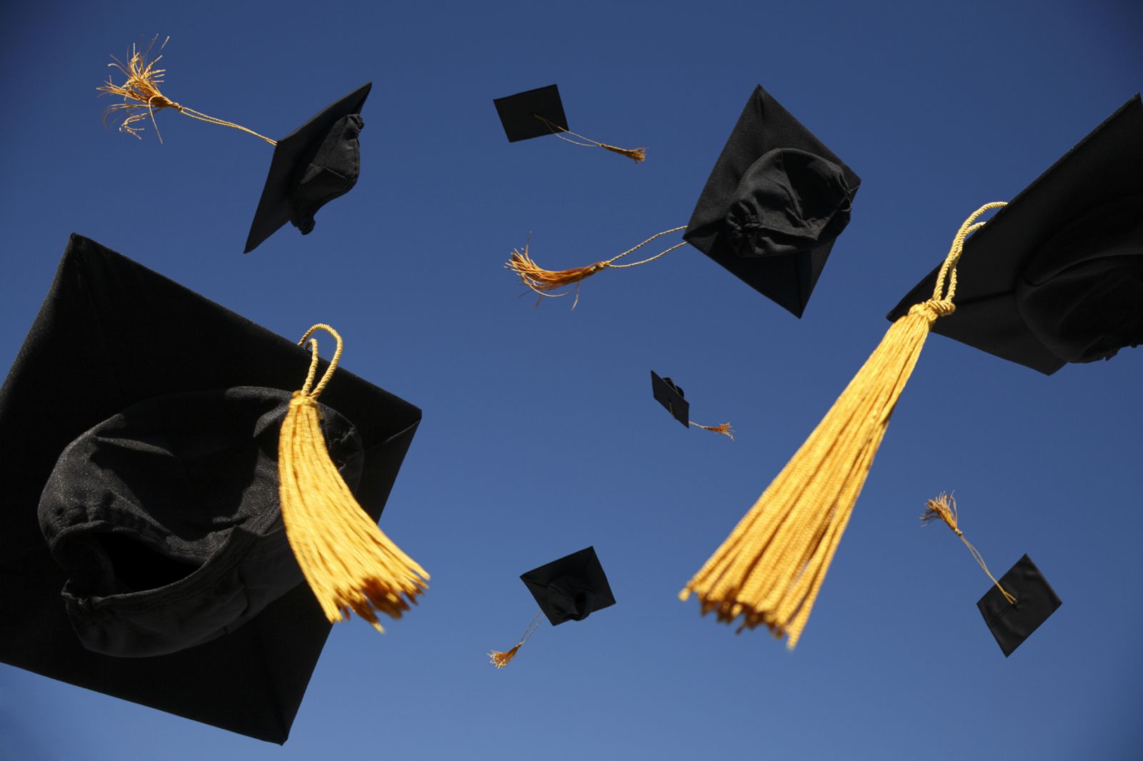 Graduation Caps Thrown In Air Sandoval County Master Gardeners 4928