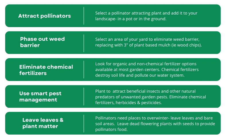 Sustainable Gardening Summary Graphic