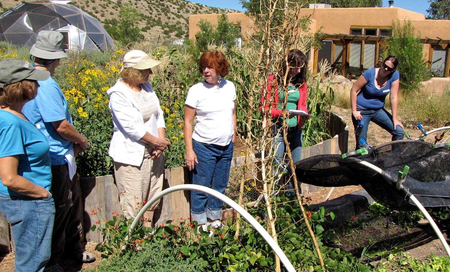 Permaculture and Sustainability