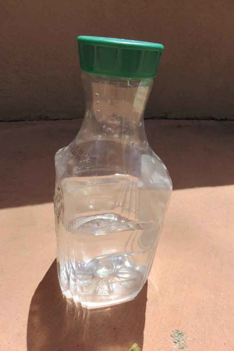 Watering Seeds and Seedlings