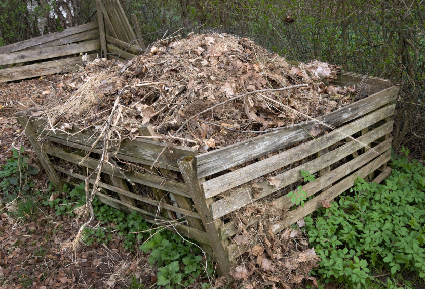 Frequently Asked Questions about Residential Composting During the Covid-19 Pandemic