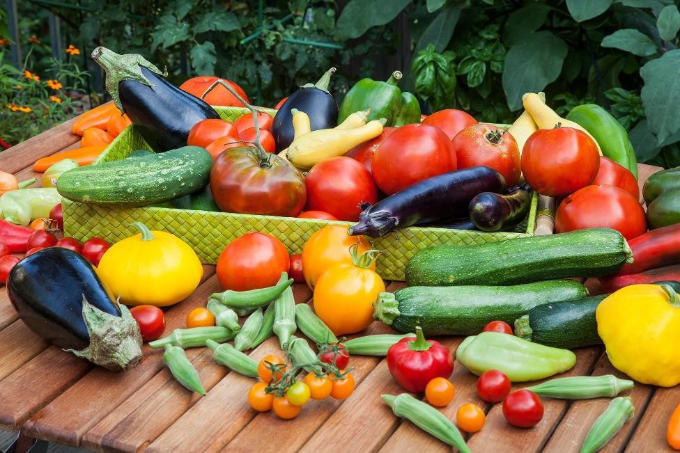 Garden2Table Recipe Corner:  SUMMER HARVEST SOUP