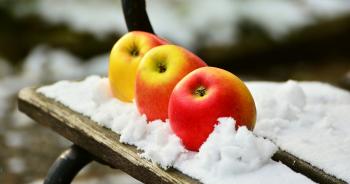 Composting in Winter