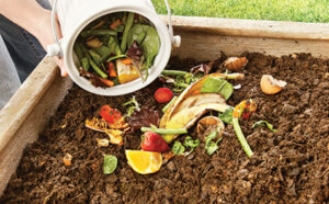 Home Composting Basics @ Open Space Visitor Center | Placitas | New Mexico | United States