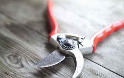 How to Clean & Sharpen Your Handheld Pruners