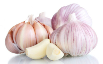 Garden2Table Recipe Corner: Garlic Confit