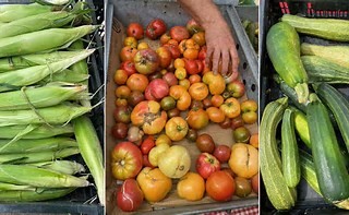 Garden2Table Recipe Corner: Rich Roasted Vegetable Stock