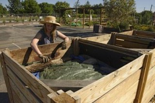 Composting In The Desert is Challenging – Not Impossible!