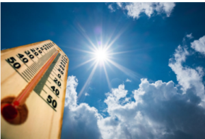 Coping with Climate Change in Your Garden @ Tamaya Wellness Center | Santa Ana Pueblo | New Mexico | United States