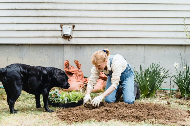 Gardening Help