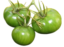The Green Tomato Conundrum