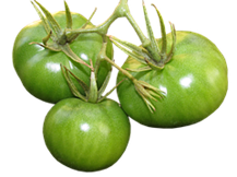 Green Tomatoes