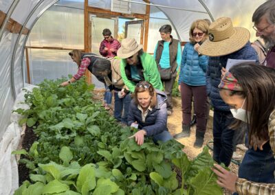 Collecting Insects in the Hoop House at the Integrated Pest Management Workshop 10.29.22 at Los Ranchos Ag Center