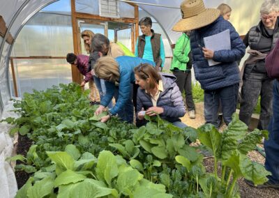 Plant Inspection - viewing insect damage along with learning Plant Diversity at the Hoop House at the Integrated Pest Management Workshop 10.29.22 at Los Ranchos Ag Center