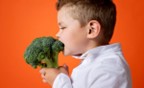 Kid eating a head of broccoli