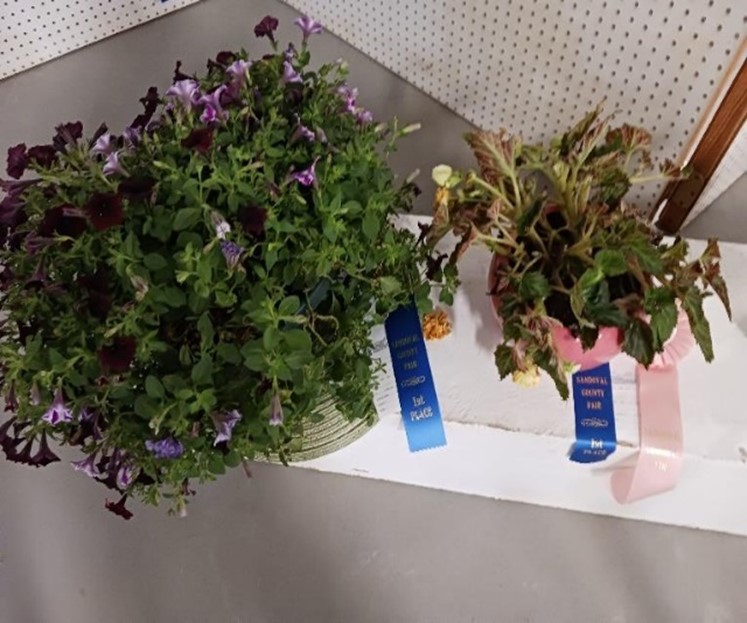 Sandoval Extension Master Gardeners Win at the County Fair – Congratulations, Ben Washige!