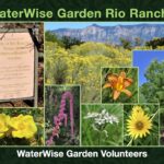 Waterwise Demonstration Garden
