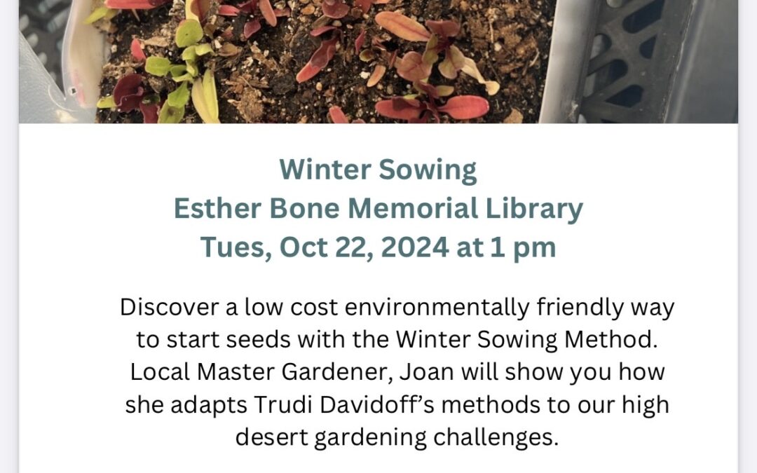 Winter Sowing with Joan Ellis