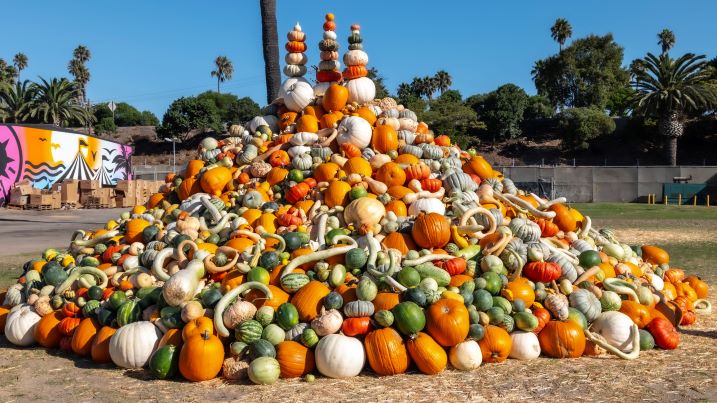 Heirloom Expo Gourd Mountain!