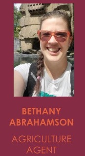 Meet Bethany Abrahamson, new Sandoval Ag Extension Agent